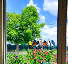 Cargar imagen en el visor de la galería, Birds Stained Glass Window Hangings - Libiyi