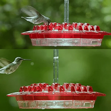 Carregar imagem no visualizador da galeria, Shirem Sweety Hummingbird Feeder - Libiyi