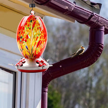 Charger l&#39;image dans la galerie, Hummingbird Feeder Hand Blown Glass