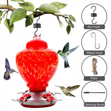 Laden Sie das Bild in den Galerie-Viewer, Hand Blown Glass Hummingbird Feeder  - 38 Ounces - Libiyi