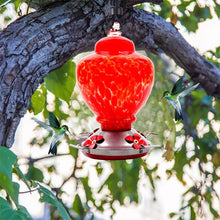 Cargar imagen en el visor de la galería, Hand Blown Glass Hummingbird Feeder  - 38 Ounces - Libiyi