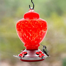 Load image into Gallery viewer, Hand Blown Glass Hummingbird Feeder  - 38 Ounces - Libiyi