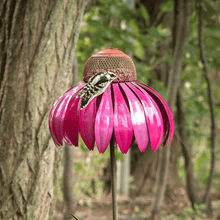 Carregar imagem no visualizador da galeria, Libiyi Outdoor Flower Bird Feeder 🌹Spring Decoration💖 - Libiyi