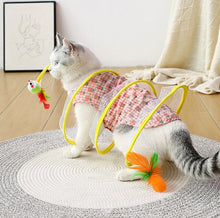 Laden Sie das Bild in den Galerie-Viewer, Cat Coil Spring Toy For Indoor Cats - Libiyi