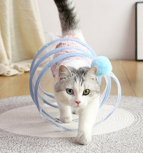 Cat Coil Spring Toy For Indoor Cats - Libiyi