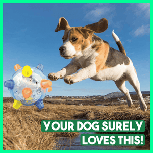 Libiyi™ Pet Ball  Endless Entertainment for Your Furry Friend! - Libiyi